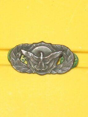 U.S. Air Force Metal Badge Insignia Basic Security Police